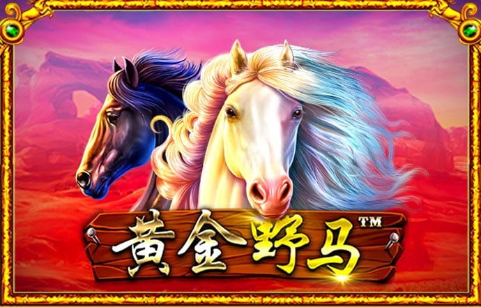 8808彩票官网手机版下载